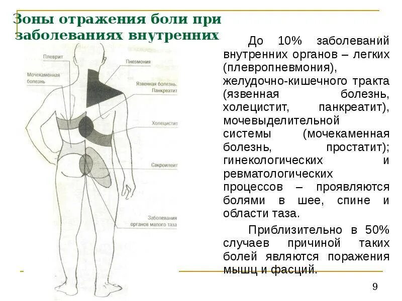 Локализация боли в спине. Локализация болей в спине схема. Боль в правом подреберье спины у женщин