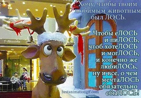 Чтоб моглось тост
