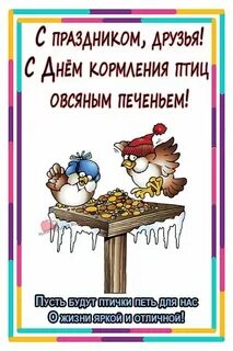 День кормления птиц