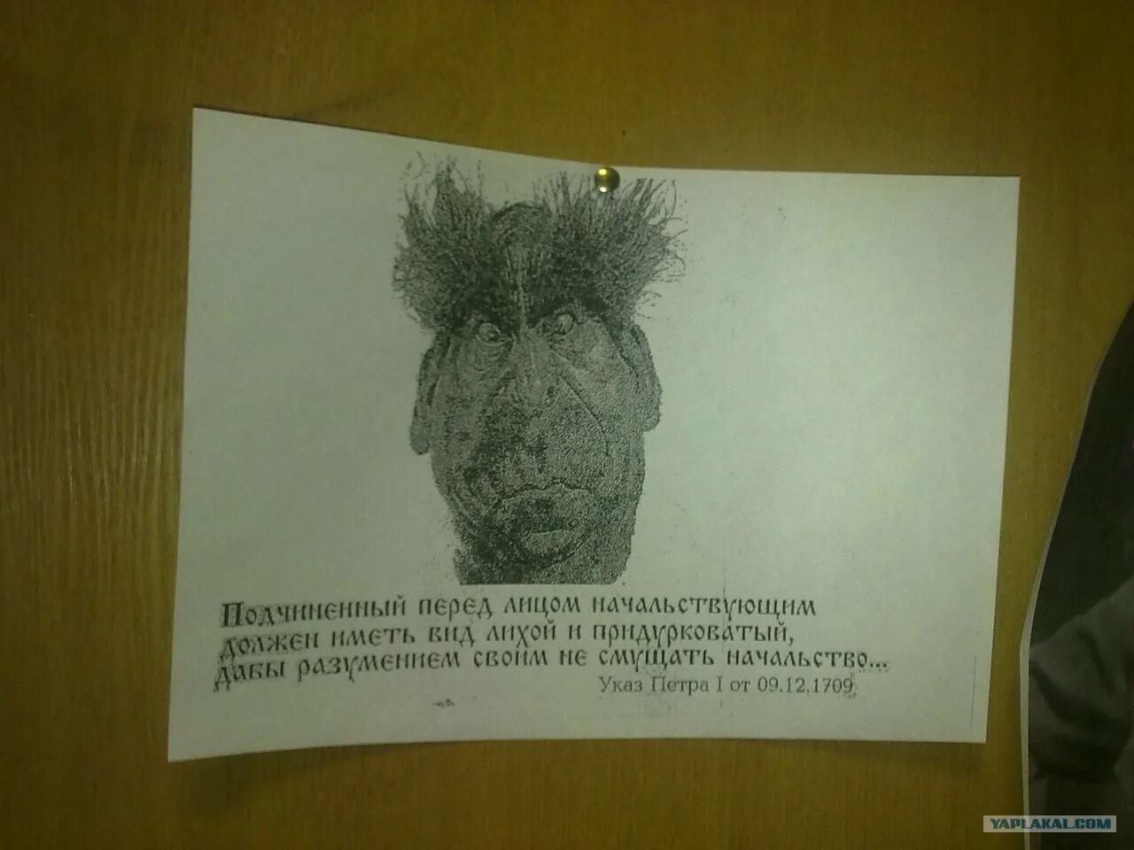 Всем и перед лицом всего. Перед лицом начальствующим. указ петра 1 перед лицом начальствующим. указ петра 1 подчиненный перед лицом начальствующим картинка. вид перед лицом начальствующим должен иметь.