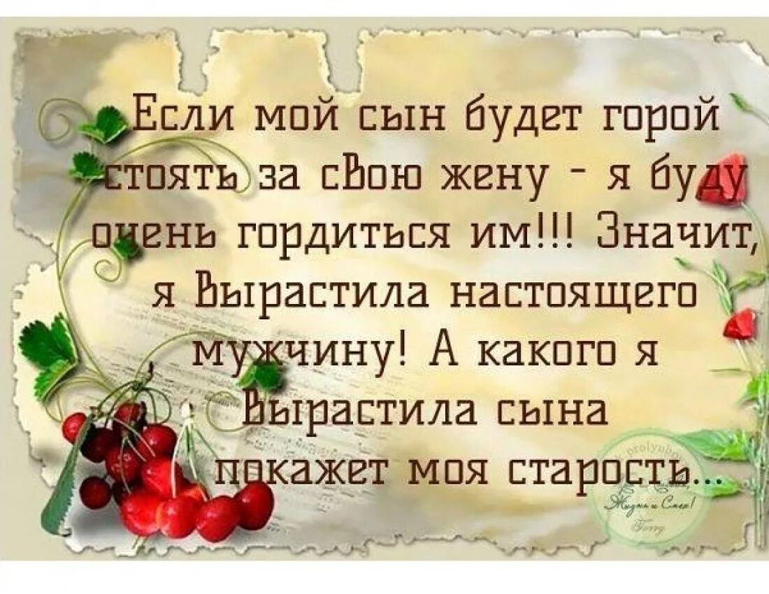 Цитаты про взрослых. Афоризмы про свекровь. высказывания про сына. цитаты про сына. высказывания про свекровь и невестку.