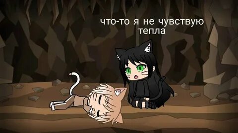 Коты воители истории