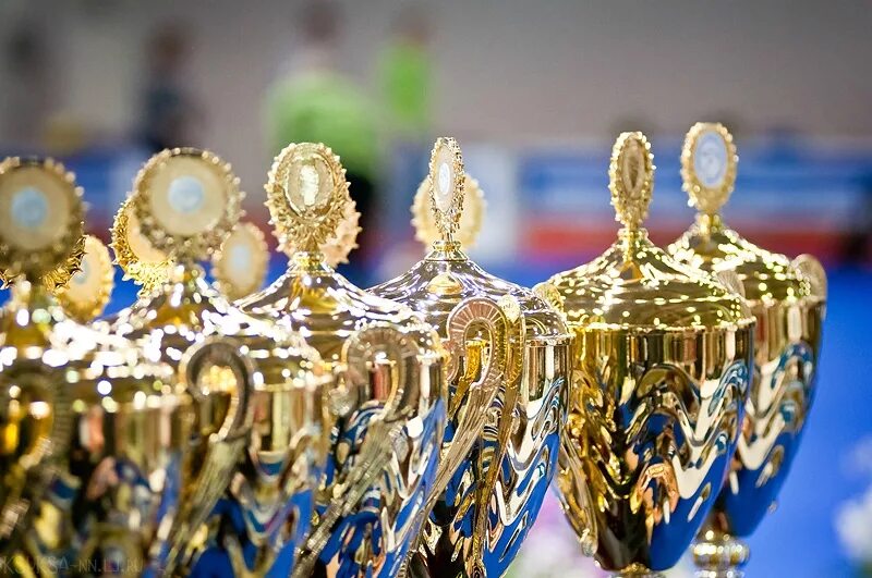 Собака чемпион. Много кубков. Пес по кличке пиклз золотой кубок. Кубки для награждения. Кубки на монопородных выставках.