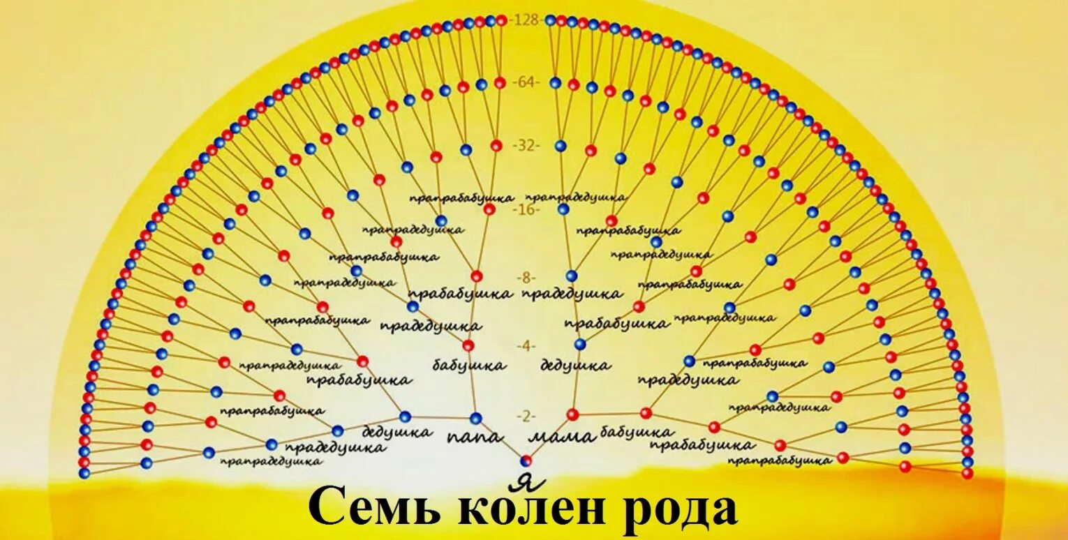 Род ка 2. Семь поколений рода родовое Древо. Схема семи поколений рода. Родовая система схема до 7 колена. Птица рода схема на 7 поколений инструкция.