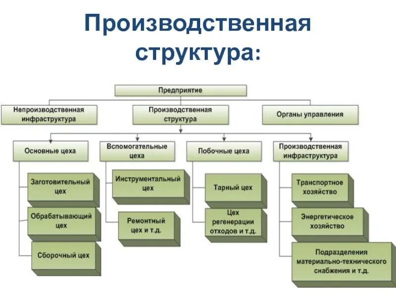Виды структуры производства