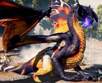 High dragon