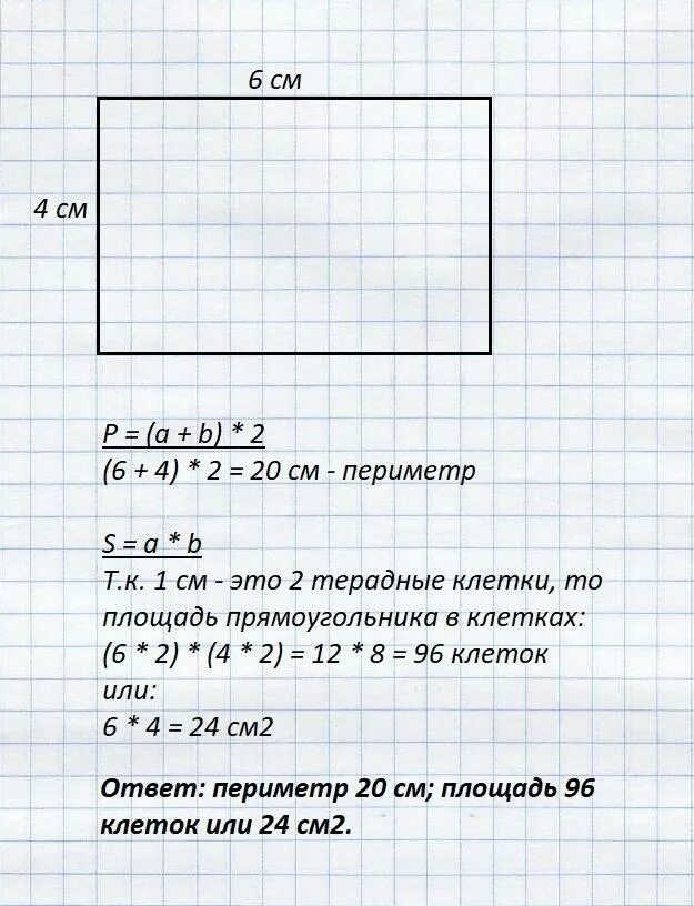 Площадь прямоугольника 6см и 4 см. Площадь и периметр прямоугольника со сторонами. площадь прямоугольника со сторонами 6см и 4 см. периметр тетради. площадь прямоугольника со сторонами 6 и 4.