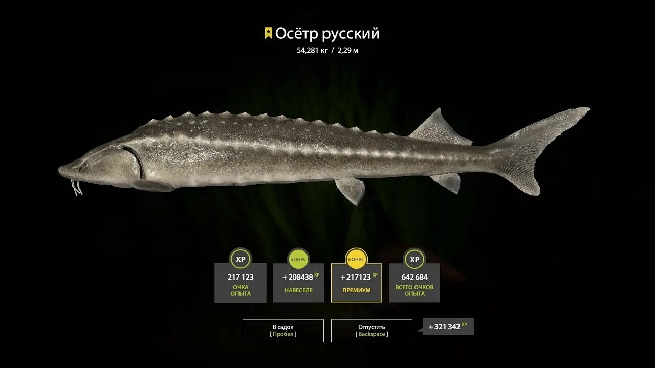 Рыба 3 3 0 3 3 2