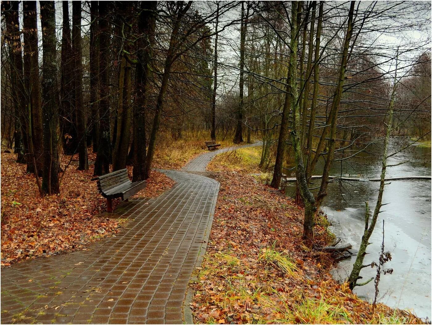 Летний дождь. Дождливая осень. Дождь осенью. Пасмурный день. Театр танца искушение шоу под дождем.