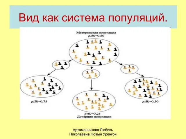 Виды связей между популяциями. Популяционная структура вида. Вид как система популяций. Типы популяций схема. Вид состоит из популяций.