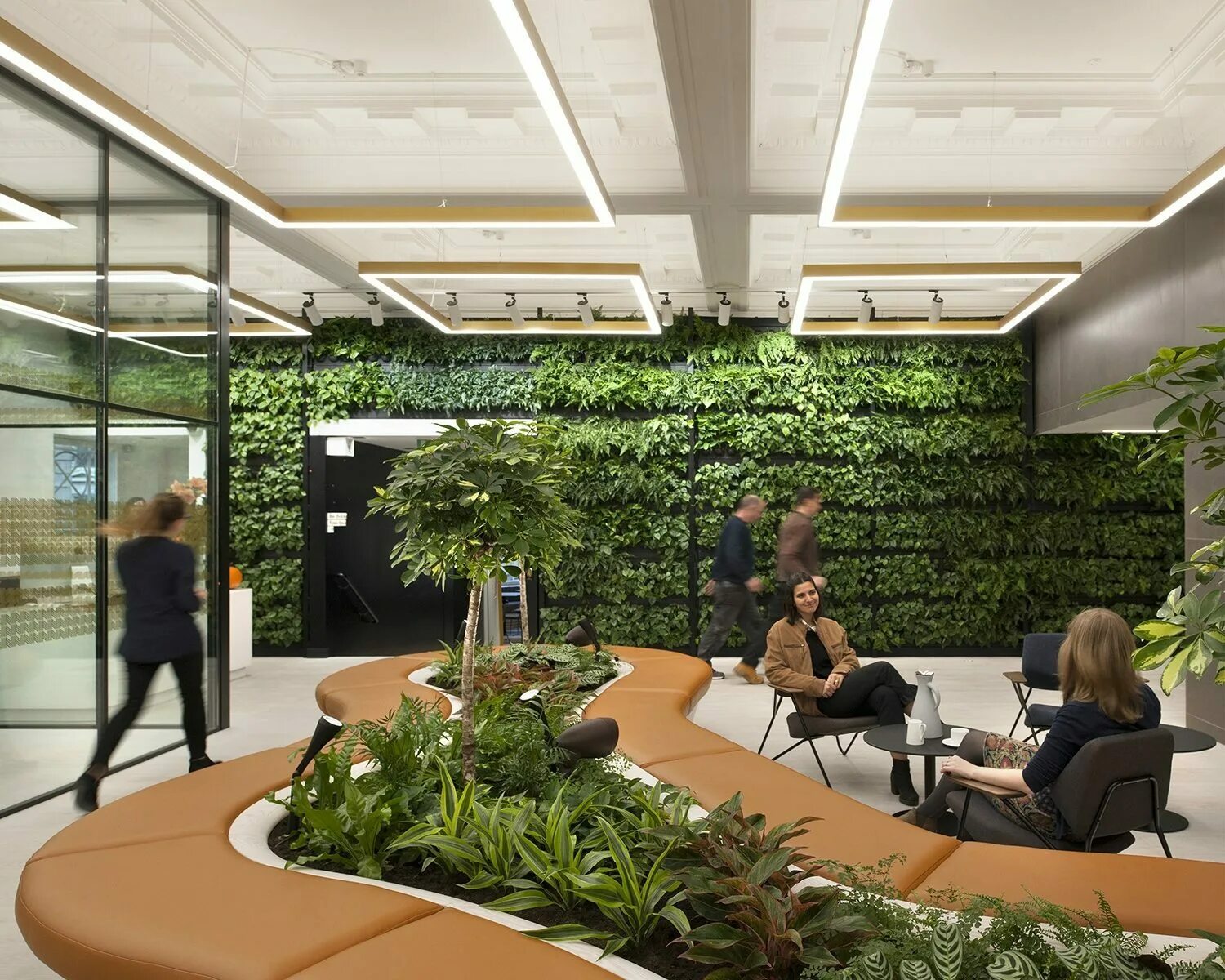 Фитодизайн офиса. Наиль купер ландшафтный дизайнер. Фитодизайн офиса озеленение. Информатика озеленение. Ficus design озеленение офисов.