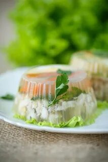 Вкусный рецепт заливного из судака