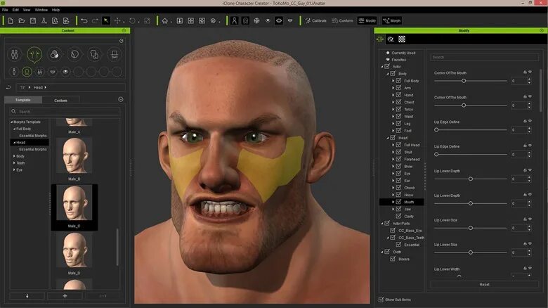 Iclone character creator. Iclone character creator персонажи. программа character creator 3. редактор человек. глаза для character creator.