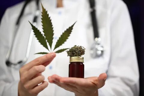 Why Is Cannabis Gaining Popularity In The Medical Field?