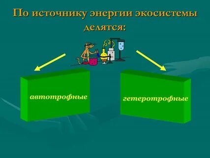 Автотрофной экосистемы