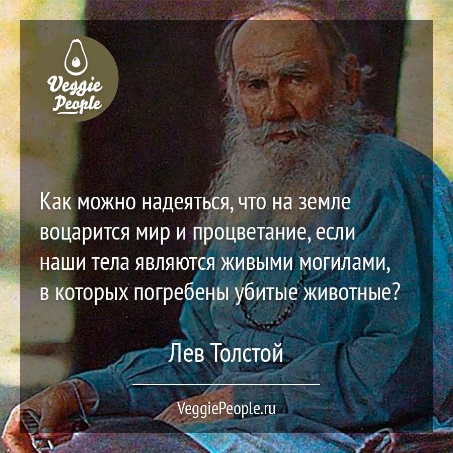 Лев Николаевич толстой цитаты. Лев Николаевич толстой цитаты о жизни. Цитаты Льва Толстого. Цитаты Толстого о жизни. Толстой о мире цитаты