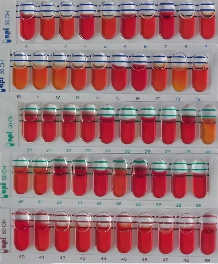 API 50ch. API 50 CHB/E. Тест Ch 50. API® 50 CHB Medium. Api 50