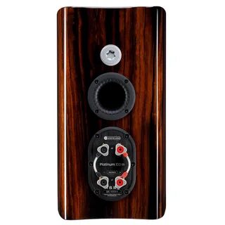 Monitor audio 100