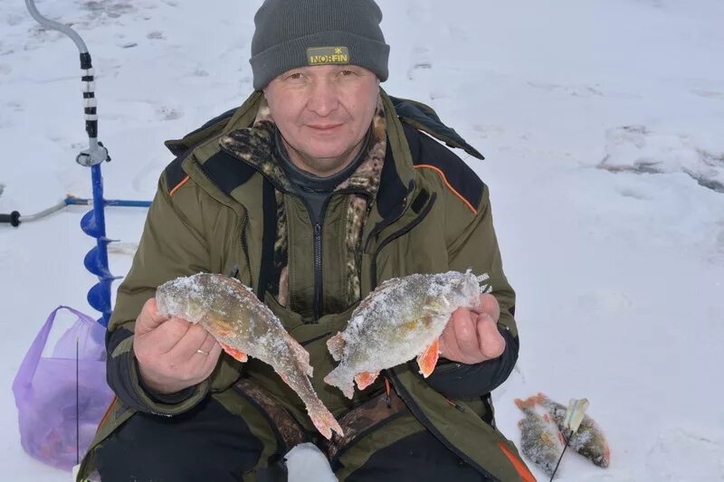 Озеро Вялье рыбалка. Озеро Холсково рыбалка. Озеро Холсково Назия. Озеро Вялье глубины. Отчеты о рыбалке на озерах