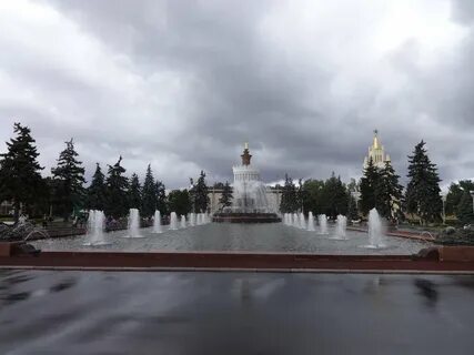 Вднх ели