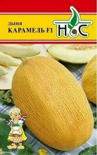 Дыня карамелька