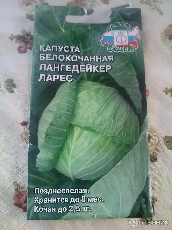 Капуста лангедейкер описание. Капуста белокочанная лангедейкер дауер. капуста сорта лангедейкер поздний. капуста белокочанная крауткайзер. капуста лангедейкер описание сорта.