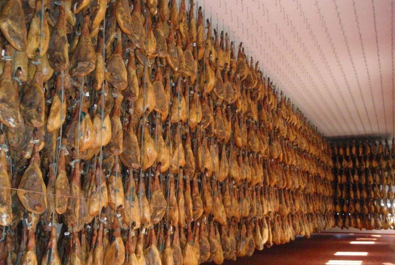 Хранение хамона. Окорок хамон серрано. Хранение хамона в домашних условиях. Шкаф для хамона. Хранение хамона.