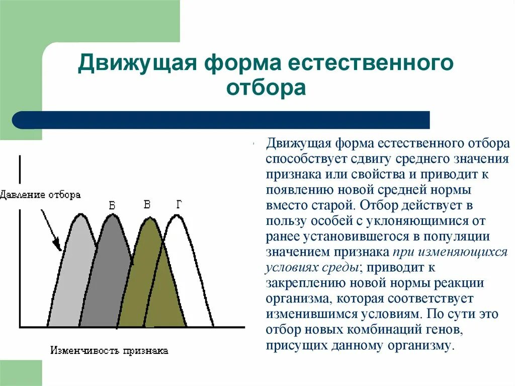 Привело к появлению нового. Схема движущего естественного отбора. Формы естественного отбора движущий стабилизирующий дизруптивный. Формы естественного отбора график. Стабилизирующий Тип естественного отбора.