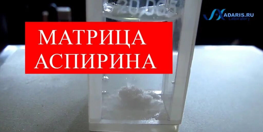Матрица гаряева очищение. Матрицы гаряева. противовирусная матрица петра гаряева. матрица гаряева антипаразитарная. матрица гаряева на похудение.