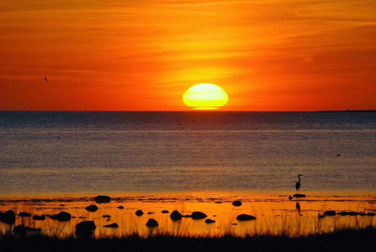 солнце на востоке. рассвет в пустыне намиб. макан солнце в заход. закат над океаном. солнце в пустыне.