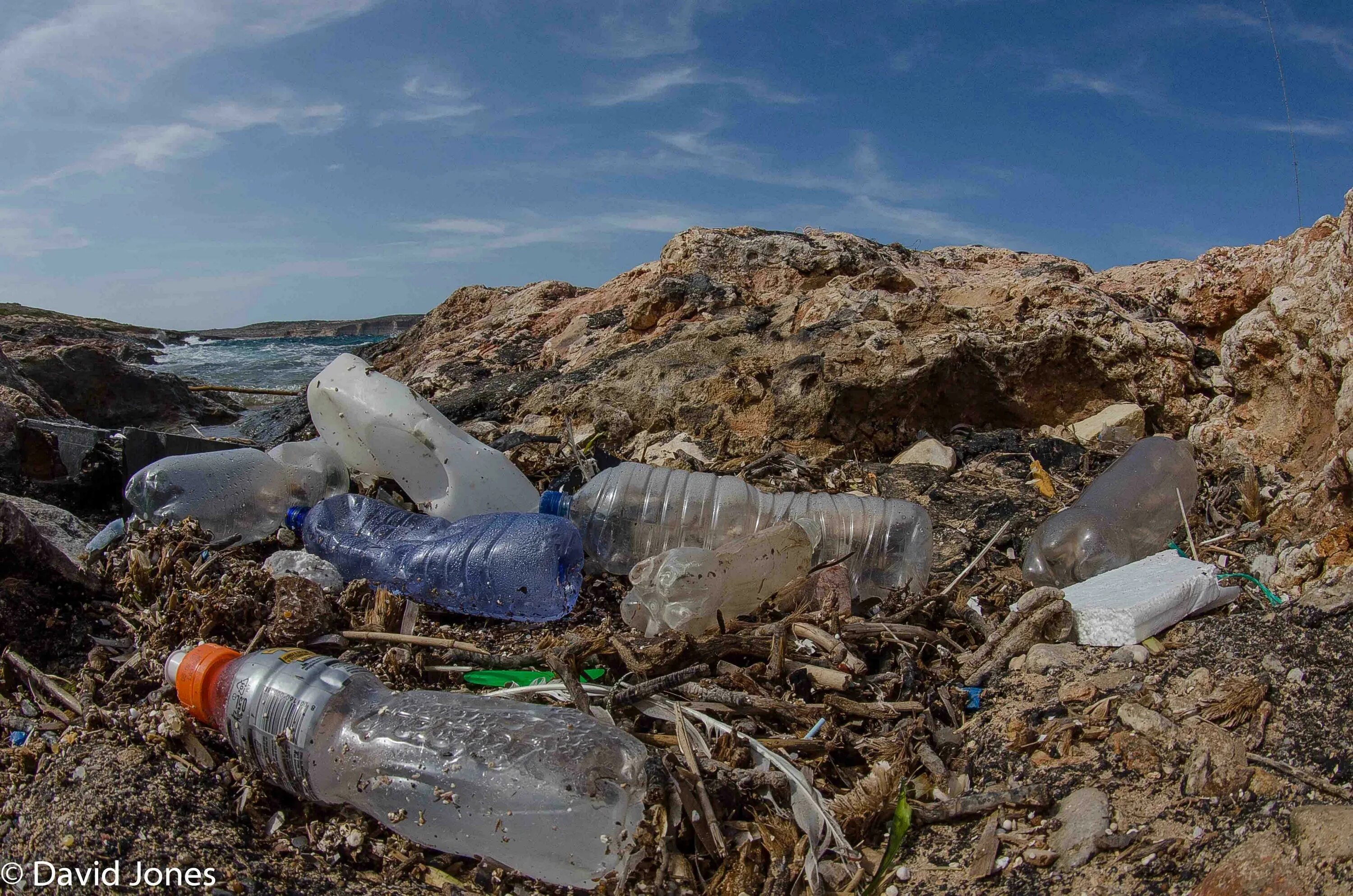 Сколько разлагается бутылка. Пластиковая бутылка на земле. Пластиковые бутылки мусор. Пластик разлагается в природе. Разлагающиеся отходы.