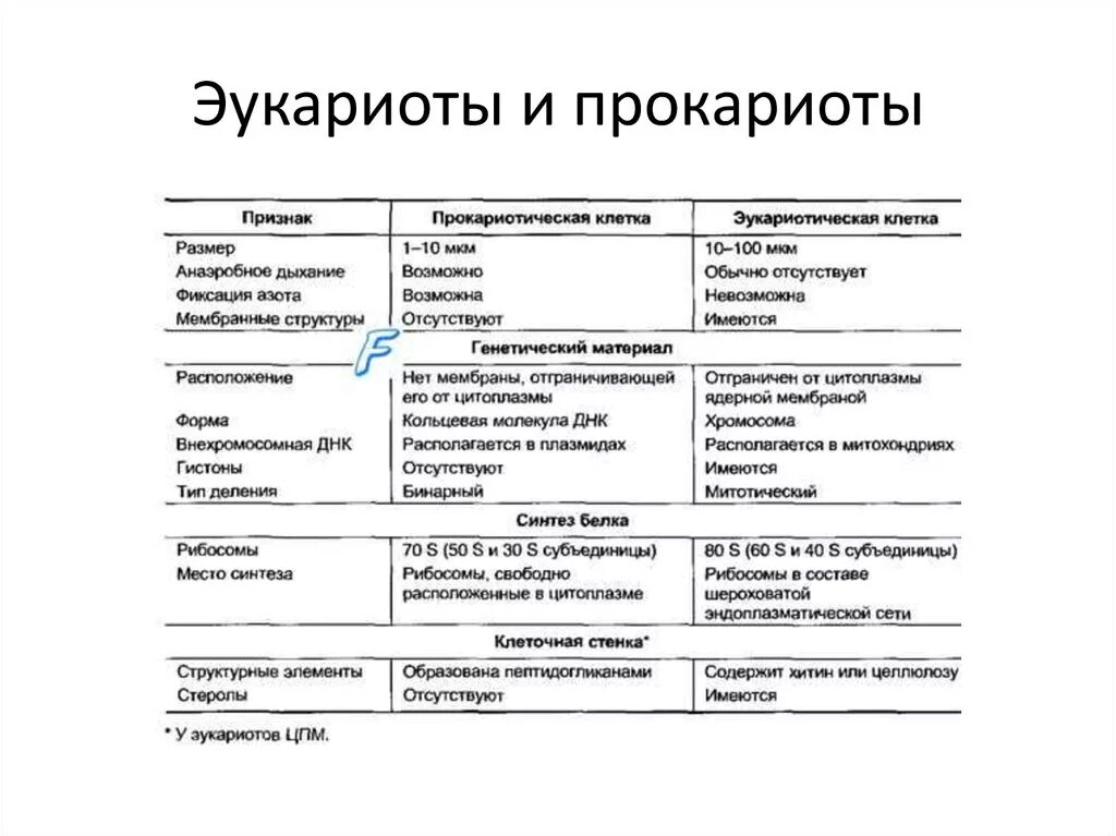 Классификация прокариот и эукариот. Фиксация азота прокариот и эукариот. Эукариотическая и Прокариотическая клетка таблица. Фиксация азота прокариот и эукариот таблица.