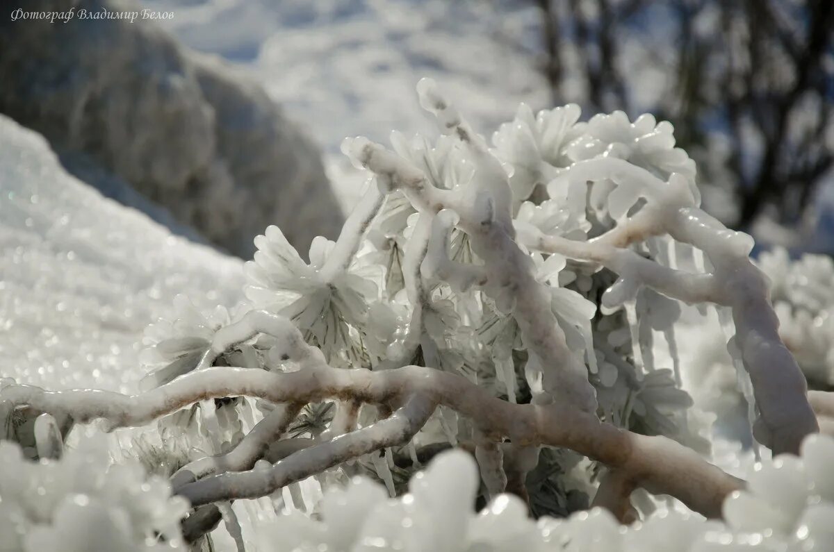 солнце растапливает лед. в целом запятая в начале. диктант 2 класс. солнце растопило остатки снега. рассказ весенние солнце растопило остатка снега.