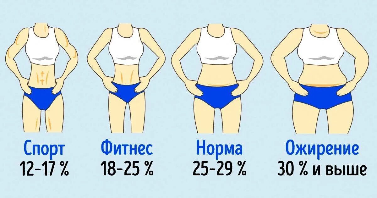 Процент жира в организме. Норма жира в организме женщины. Норма жира у женщин. Нормальный процент жира в организме женщины. Норма жира в организме мужчины