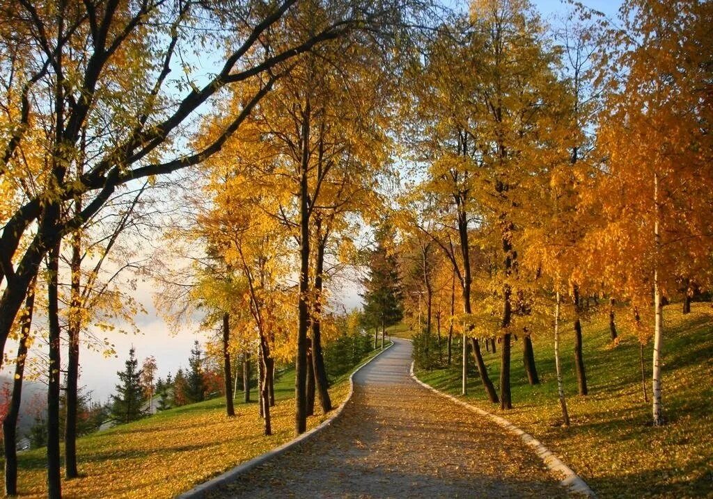 Благоустройство парка «парк победы» якутск. Проспект пятилеток, 2 коллонтай, 18. Сквер первой пятилетки. Улица малиновского архангельск. Комсомольский парк в керчи.