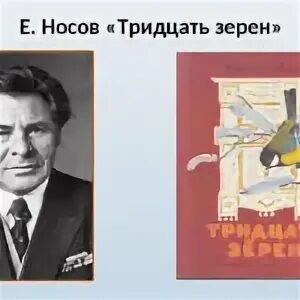Тридцать зерен