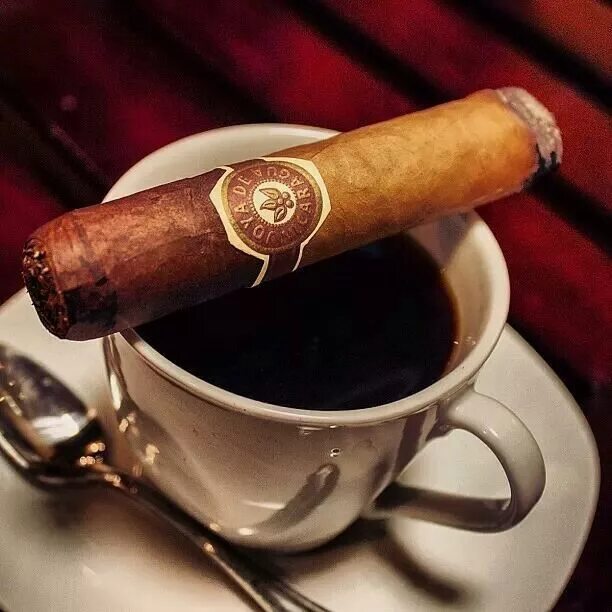 Vegas Robaina Cigars Zigarren