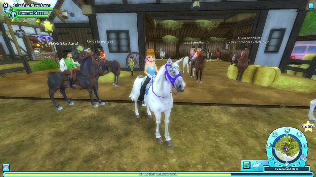 Игра звездная подкова. Star stable 2010. Звёздная подкова ты чемпионка. Звездная подкова игра. Star stable Звездная подкова первые скачки.