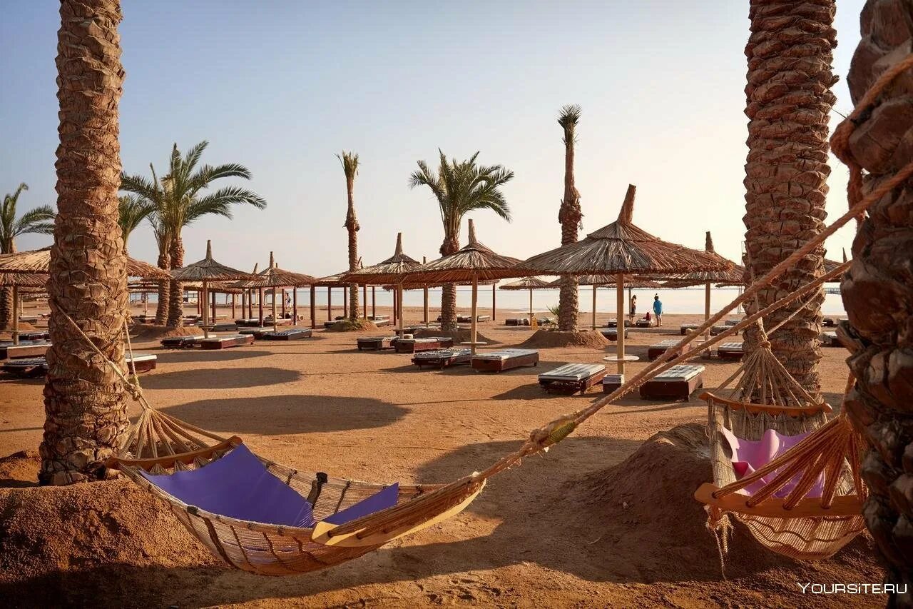 Шарм эль шейх отели купить тур. Sharm Holiday Resort Aqua Park 4*. Египет отель Coral Sea Holiday Resort. Шарм-Эш-Шейх Египет. Египет клаб Бич Резорт Шарм-Эль-Шейх.