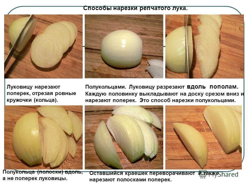 Вдоль и поперек. Формы нарезки лука репчатого. Методы нарезки лука. Вдоль и поперек это КПК. Способы нарезать лук.