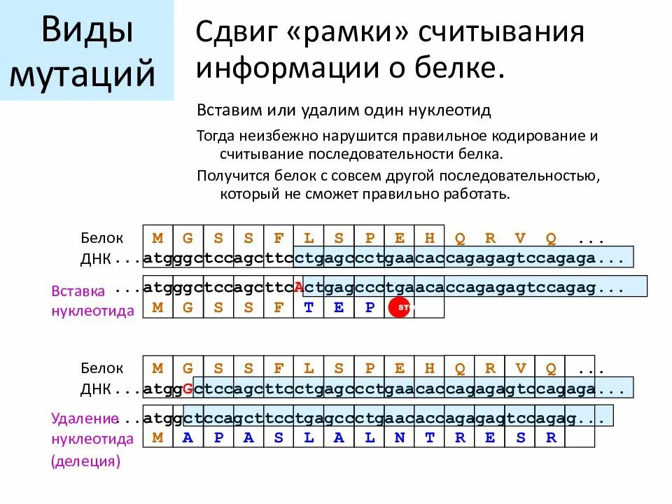 Мутации рамки считывания. Делеция сдвиг рамки считывания. мутации (делеция, сдвиг рамки считывания). мутации типа сдвига рамки считывания. мутации со сдвигом рамки считывания.