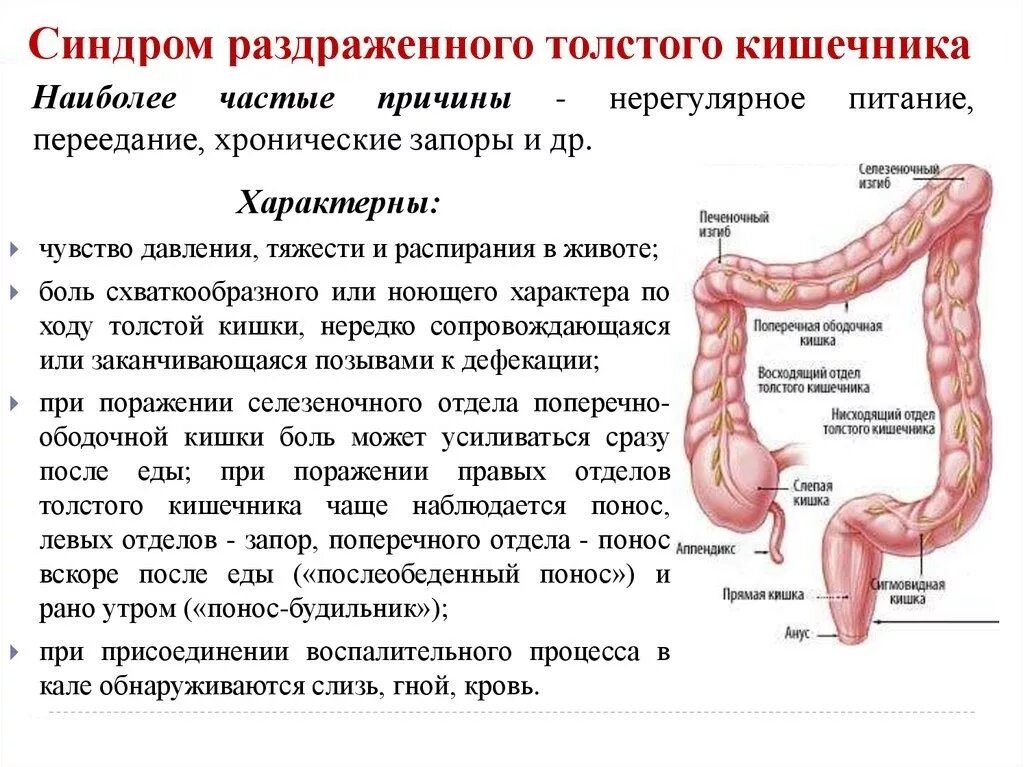 Сколько лет поносу. Синдром раздраженного кишечника толстой кишки симптомы. Синдром раздраженной кишки. Синдром раздражённо го кишечника. Синдом раздражённо Юго кишечникп.