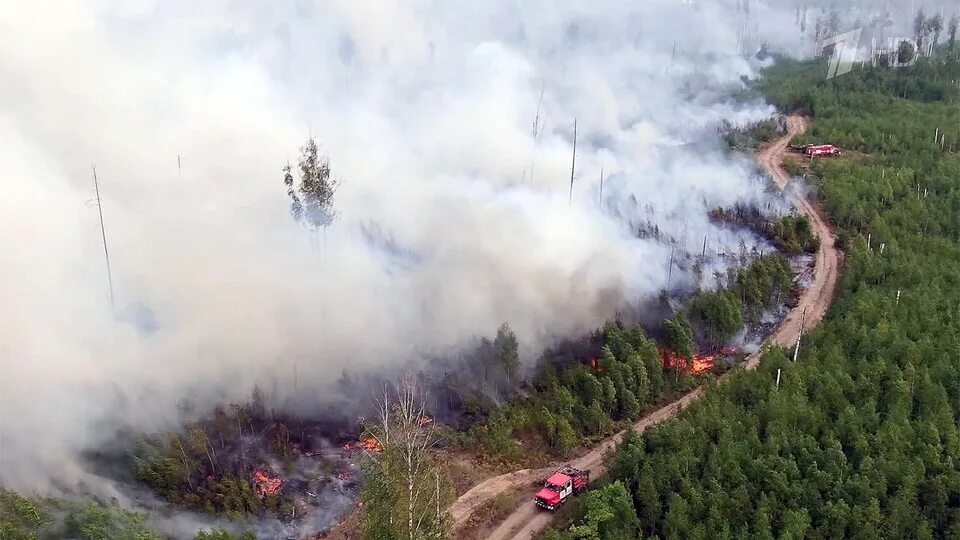 В рязани сгорел. Лесные пожары в Рязани 2022. Лесные пожары в Рязанской и Нижегородской областях, август 2022. Пожары в Рязанской области 2022. Площадь пожара в Рязанской области.