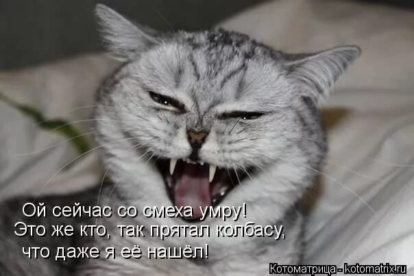 Человек с огромной улыбкой. Смех фото. Смеющееся лицо. Смех продлевает жизнь. Теперь смех.