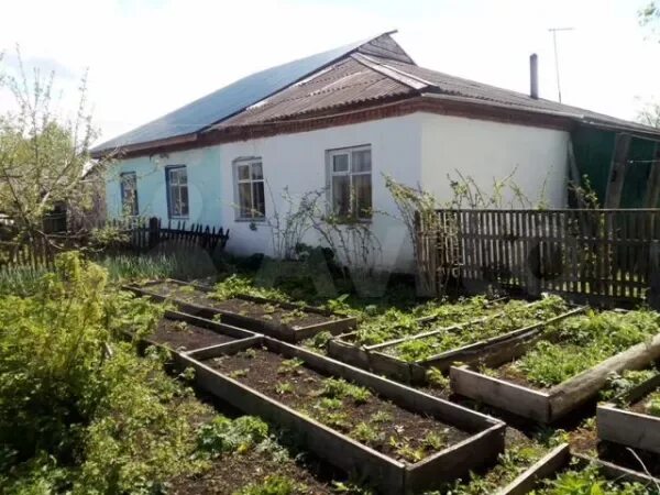 Погода в сетовке алтайский край. Село Сетовка Алтайский край. Сетовка Алтайский край Советский. Сетовка Советский район. Советский р-н, с. Сетовка.