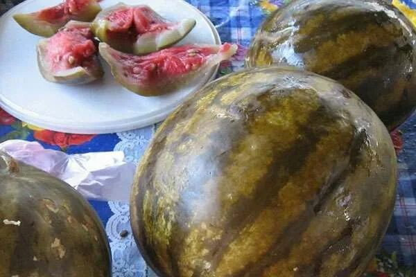 Арбузы соленые в бочке на зиму целыми. Бочковые арбузы. бочковые арбузы целиком. соленый арбуз целиком. малосольный арбуз.