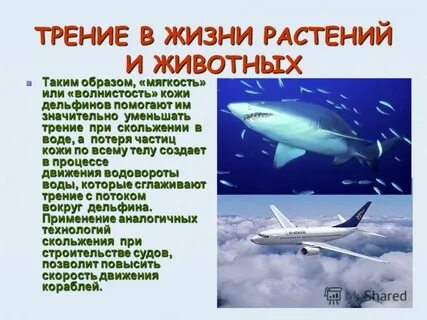 Трение в жизни человека презентация 7 класс