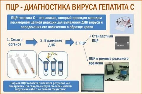 Пцр тест на вирус