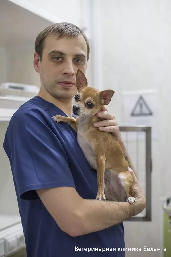 Belanta vet. Беланта братеево. Беланта ветклиника щербинка. Ветеринар с кошкой. Belanta vet.