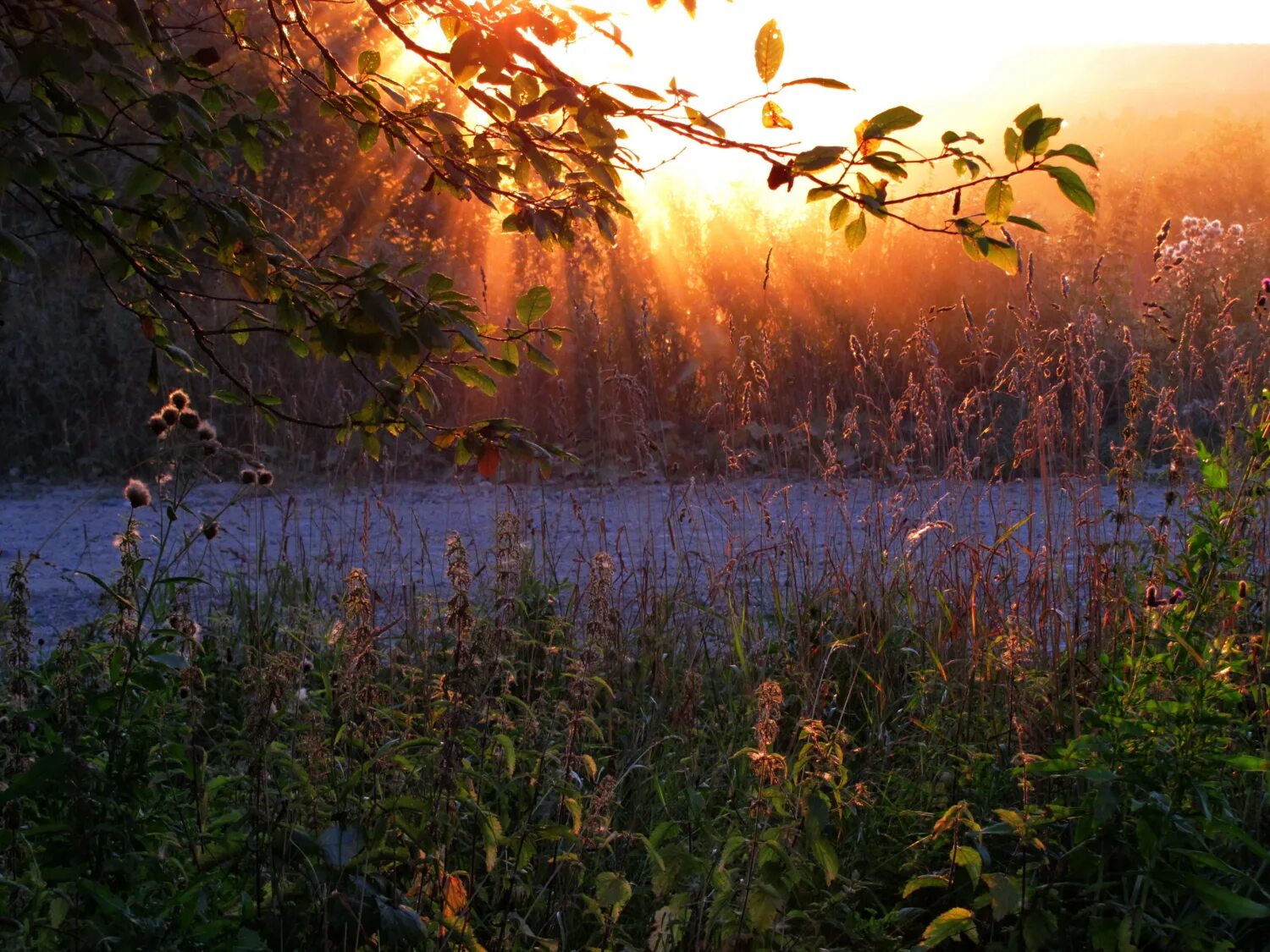 Однажды вечером в траве. Август пейзаж. Конец августа природа. Август вечер природа. Летний вечер.